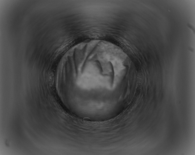 X0000093110043200710171232