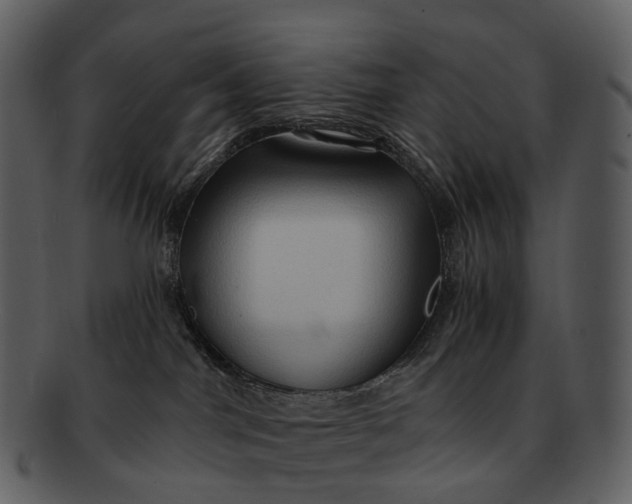 X0000093110044200710171232