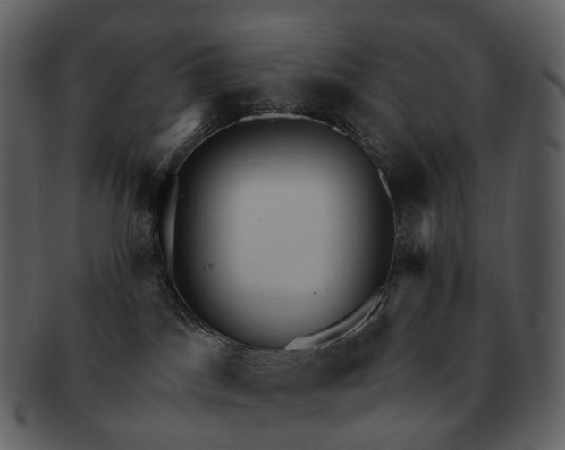 X0000093110045200710171232