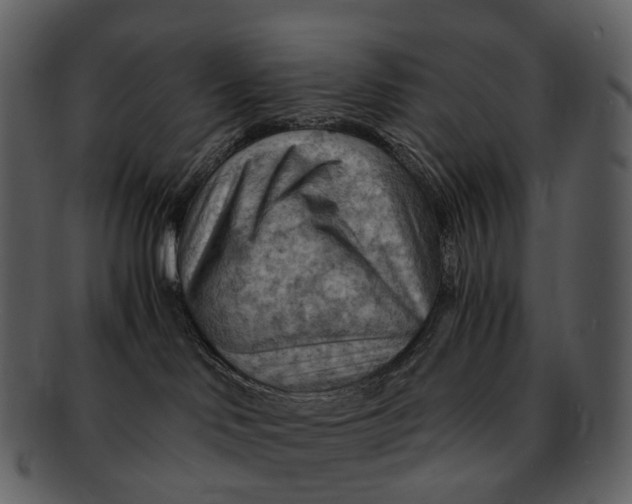 X0000093110046200710171232