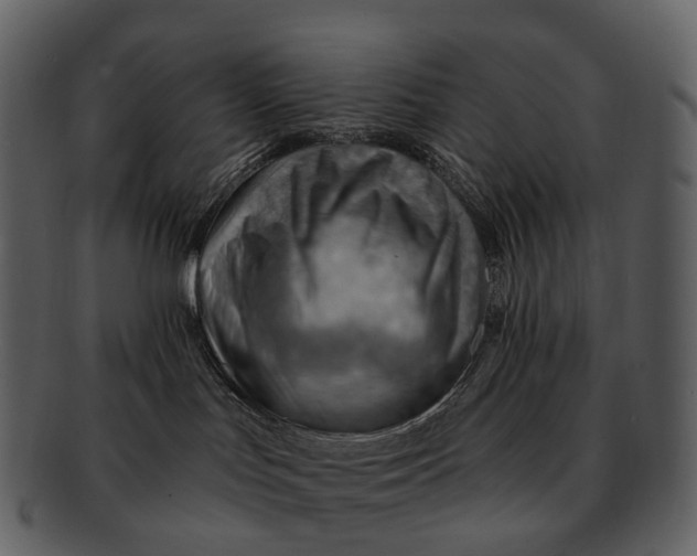 X0000093110047200710171232