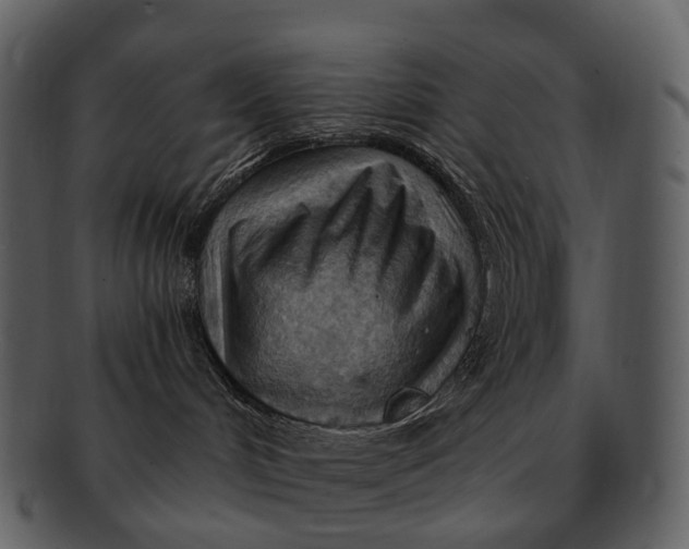 X0000093110048200710171232