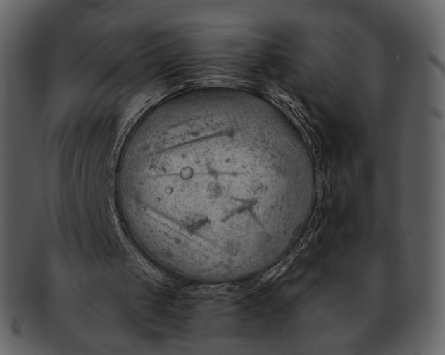 X0000093110049200710171231