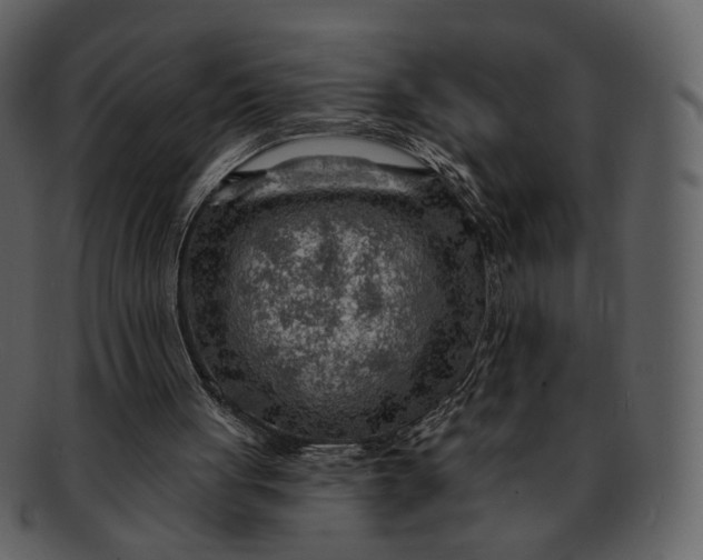 X0000093110051200710171232