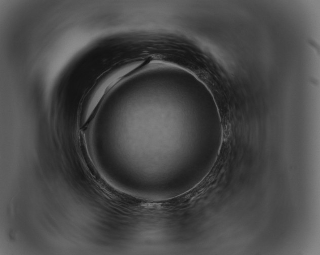 X0000093110052200710171232