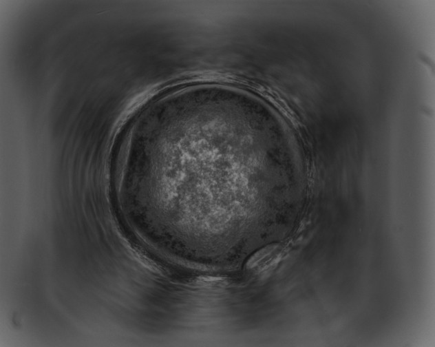 X0000093110055200710171232