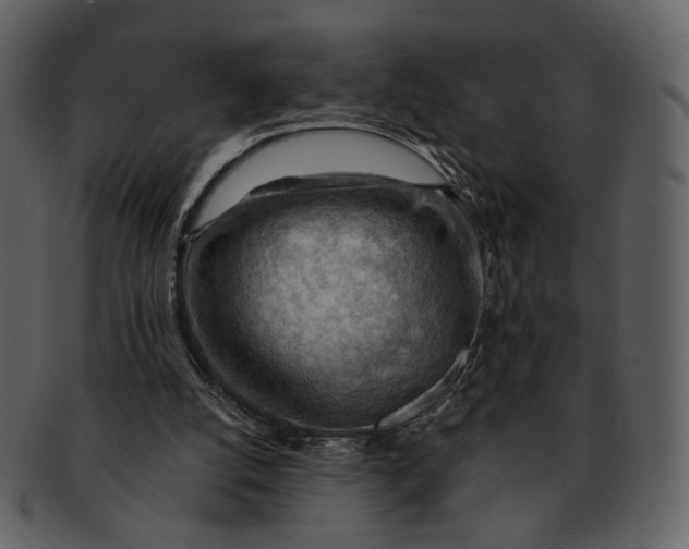 X0000093110056200710171232