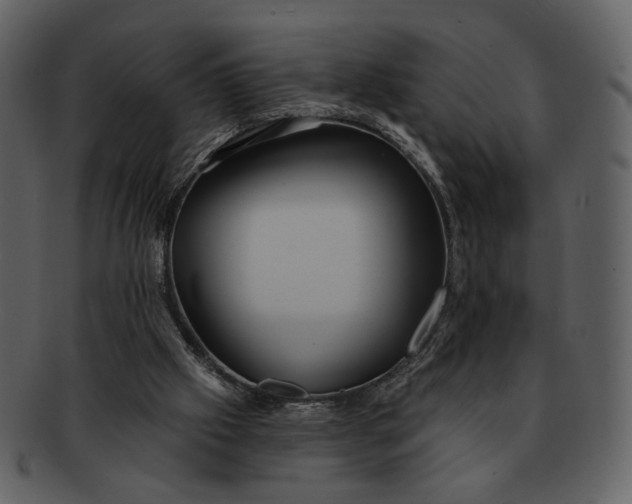 X0000093110057200710171232