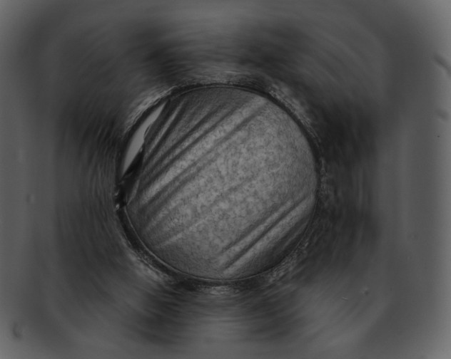 X0000093110058200710171232