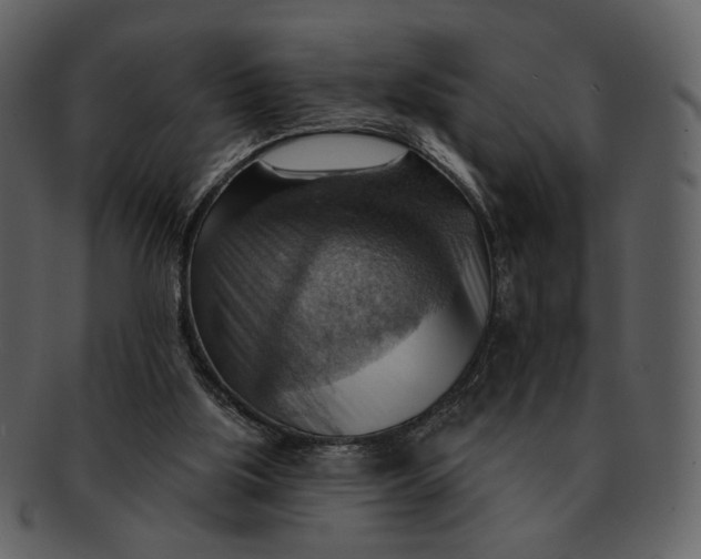 X0000093110059200710171232