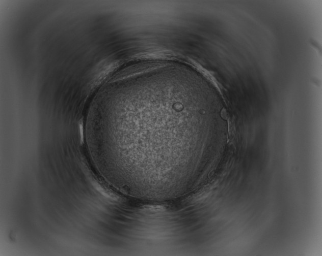 X0000093110061200710171232