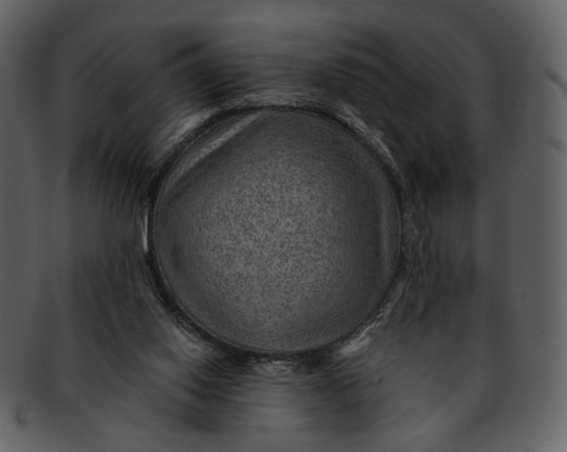 X0000093110062200710171232