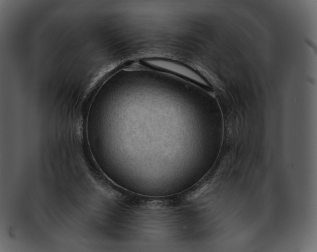 X0000093110064200710171232