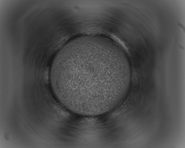 X0000093110065200710171232