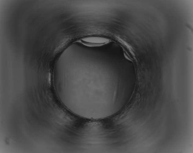 X0000093110067200710171232