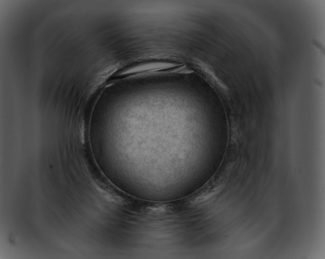 X0000093110068200710171232