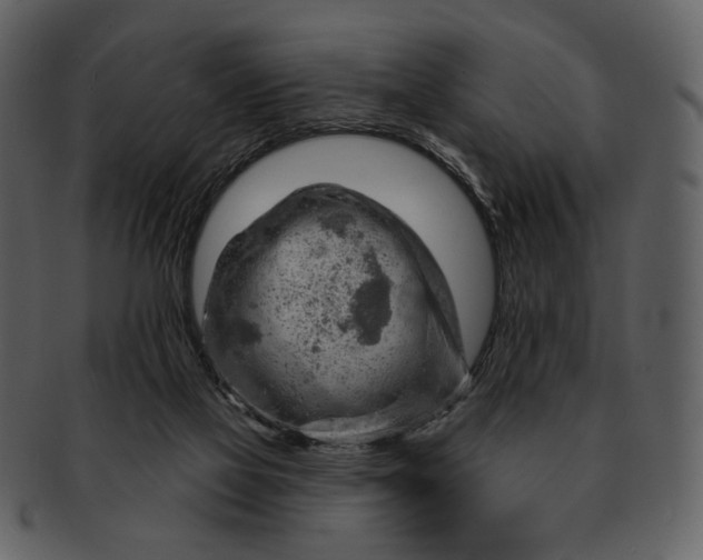 X0000093110069200710171232