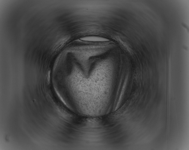 X0000093110070200710171232