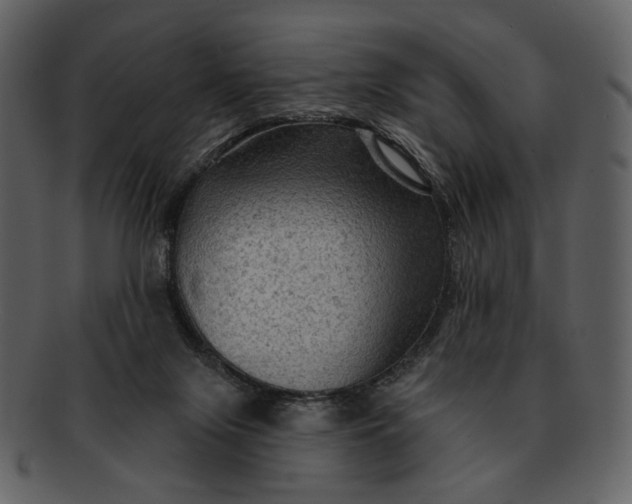 X0000093110071200710171232