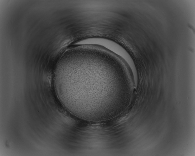 X0000093110072200710171232