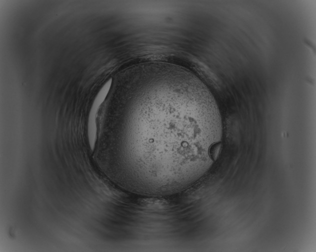 X0000093110073200710171232