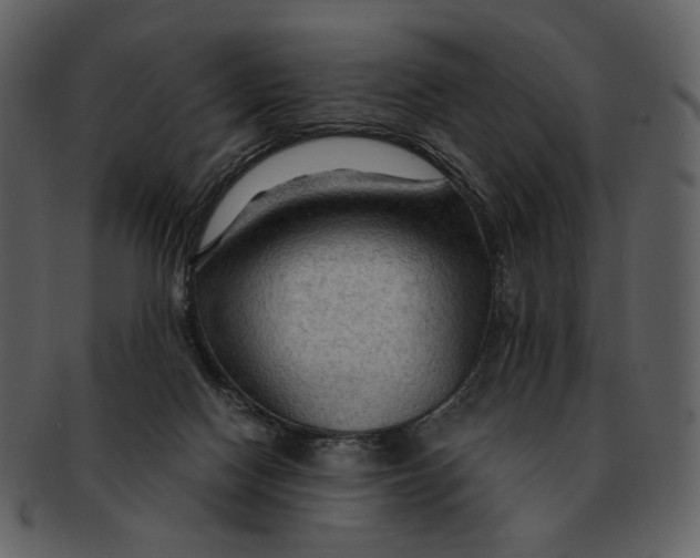 X0000093110074200710171232