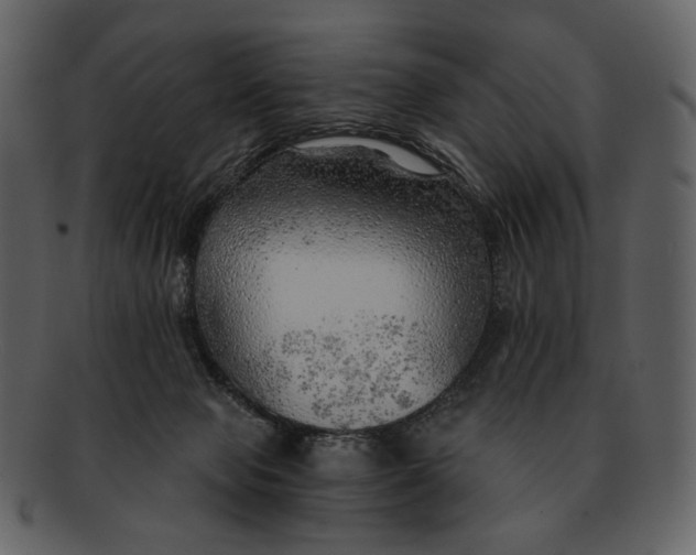 X0000093110077200710171232