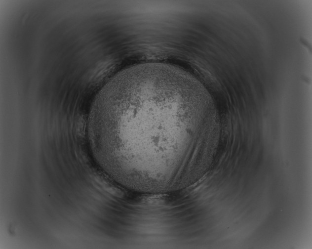 X0000093110078200710171232