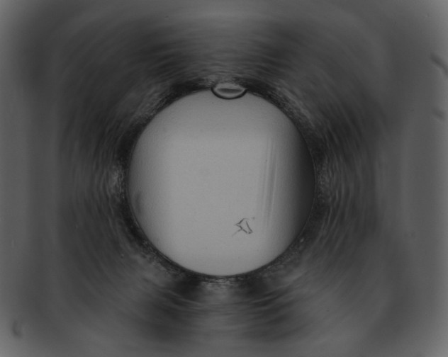 X0000093110079200710171232