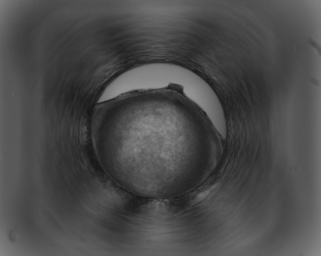 X0000093110080200710171232