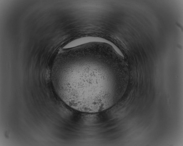 X0000093110081200710171232