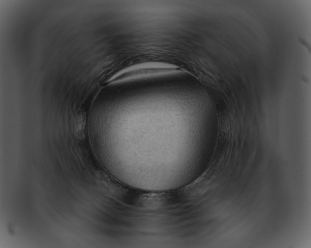 X0000093110082200710171232