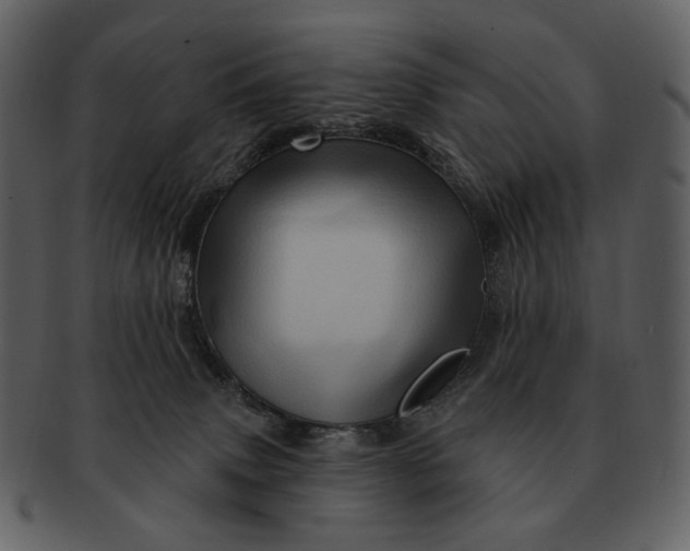 X0000093110083200710171232