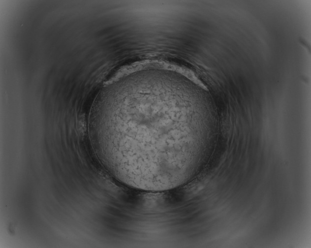 X0000093110085200710171232