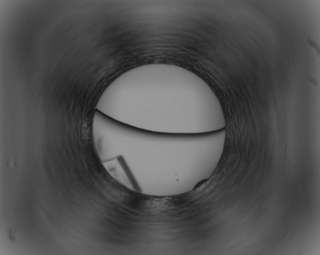 X0000093110086200710171232