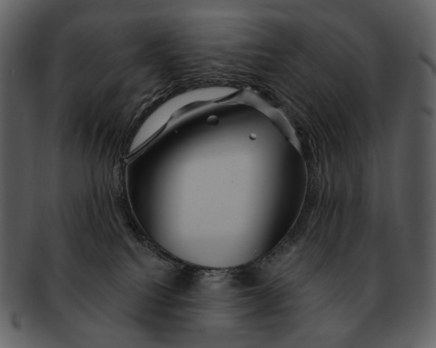 X0000093110088200710171232