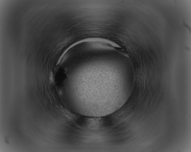 X0000093110089200710171232