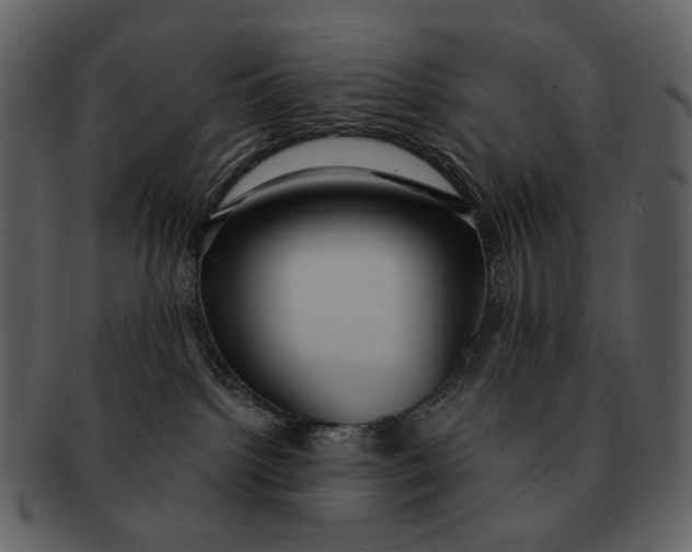 X0000093110092200710171232