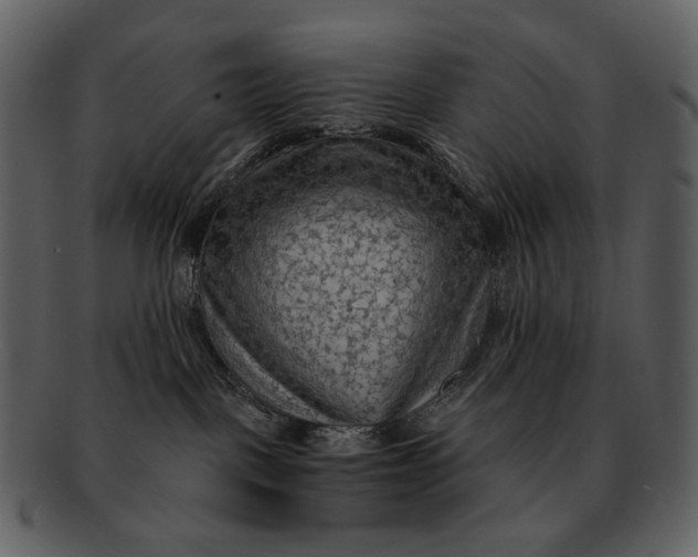 X0000093110093200710171232