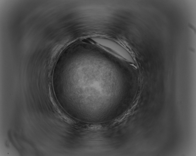 X0000093110097200710171231