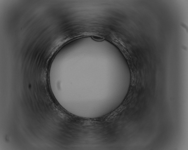 X0000093110098200710171231