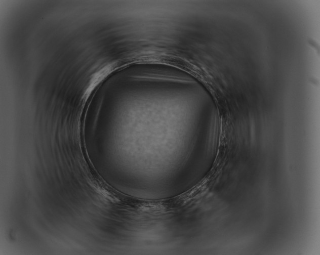 X0000093110099200710171231