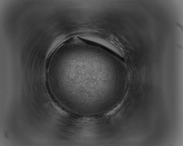 X0000093110101200710171231