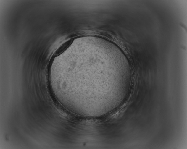 X0000093110103200710171231