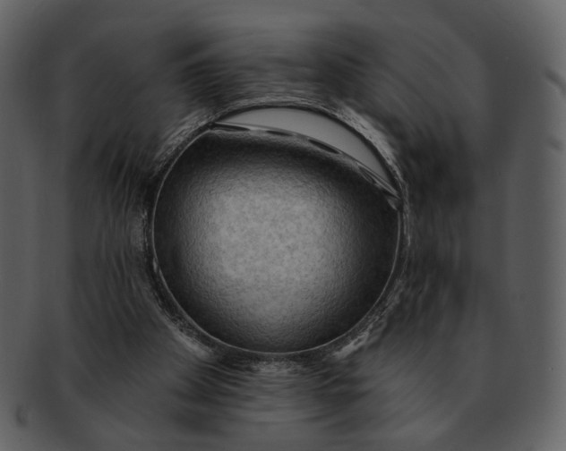 X0000093110105200710171231