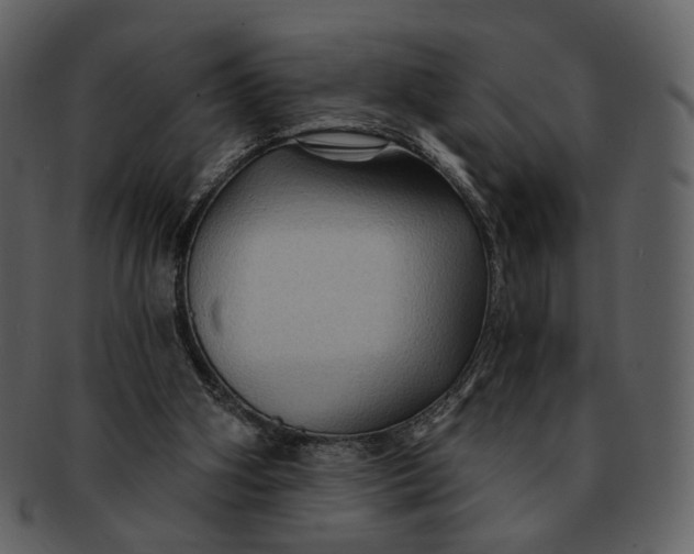 X0000093110106200710171231