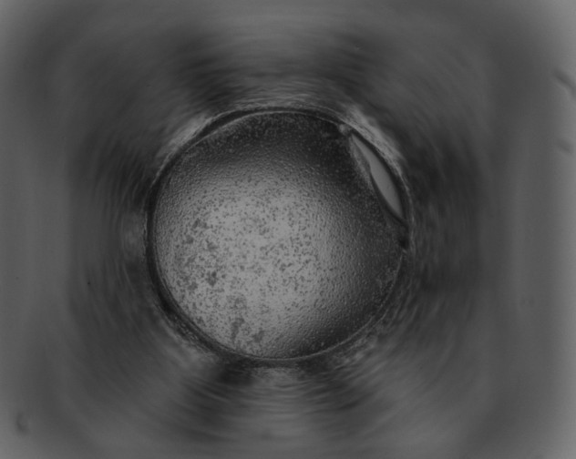 X0000093110107200710171231