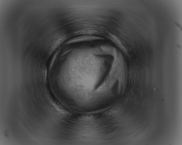 X0000093110110200710171231