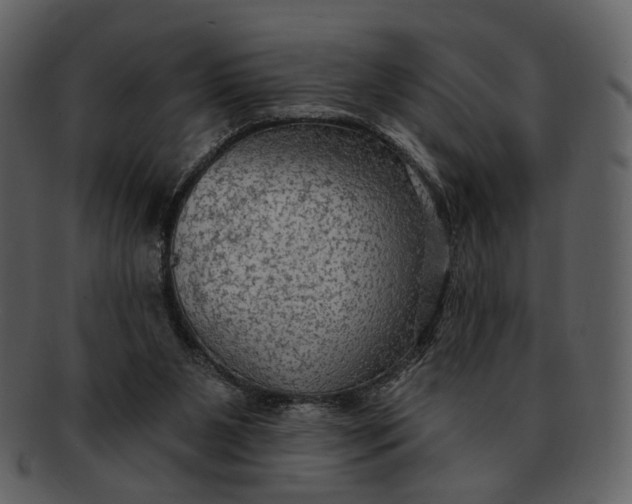 X0000093110111200710171231