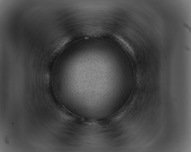 X0000093110113200710171231